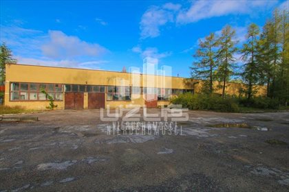 Działka przemysłowo-handlowa na sprzedaż Skibno 37 100m2 Foto 6