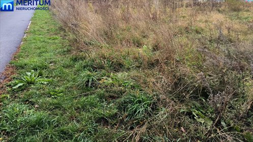 Działka inwestycyjna 5000 m2 z potencjałem rozwoju działka Żyrardów