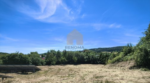 Sprzedam działkę 2653 m² w Witoszowie Górnym z pięknymi widokami działka Witoszów Górny