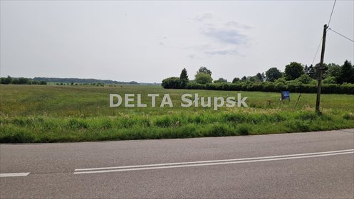 działka na sprzedaż 1012m2 działka Przewłoka