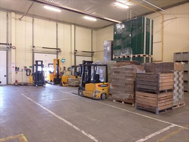 Działka inwestycyjna na sprzedaż Sucha 48 000m2 Foto 2