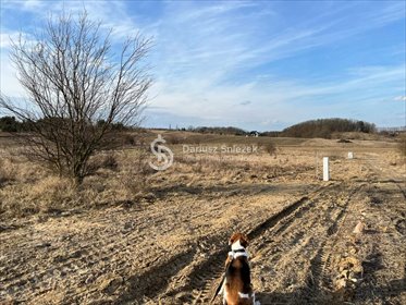 działka na sprzedaż 939m2 działka Czepino