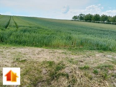 Dwie działki 58 arów przy drodze asfaltowej, rolno-budowlane działka Grodzisko Dolne