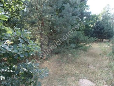 Działka rolna na sprzedaż Osęczyzna 2 200m2 Foto 4