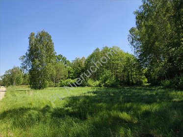Przestronna działka 6000 m² z lasem i mediami działka Radonie
