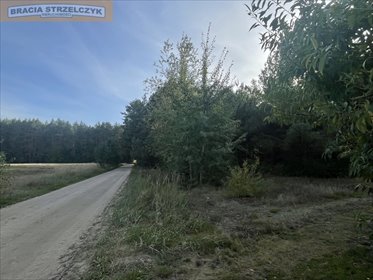 Działka 839 m² z dostępem do lasu i mediów - zapraszam działka Świniotop