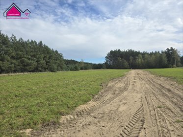 Sprzedam działkę rekreacyjną 450 m² przy jeziorach Adamowo działka Adamowo