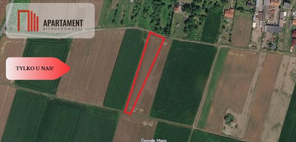 Działka inwestycyjna 4500 m² w Przecławicach - polecam! działka Przecławice