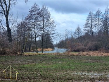 Działka rekreacyjna 8,7 tys. m² z linią jeziora (MPZP) działka Bodzanów, Kępska