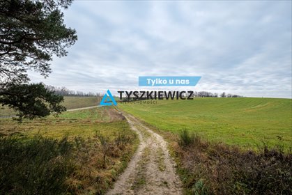 działka na sprzedaż 5915m2 działka Pierwoszyno