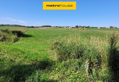 działka na sprzedaż 7500m2 działka Róże