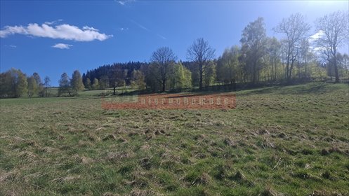 Działka w Kletnie z widokiem na góry, 2010 m² działka Kletno