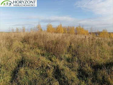 Działka budowlana 3200 m² z warunkami zabudowy w Żukowie działka Żukowo