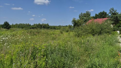 Na sprzedaż działka 1230 m² w spokojnym Prażmowie działka Prażmów, Prażmów
