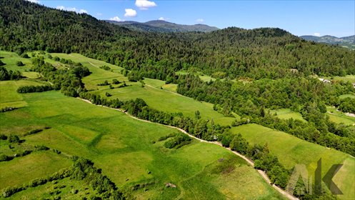 działka na sprzedaż 6366m2 działka Kamienica