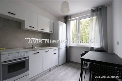 mieszkanie na wynajem 40m2 mieszkanie Świdnica