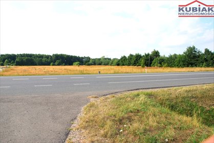Działka inwestycyjna 2,62 ha przy DK 92 z możliwością stacji paliw. działka Stary Dębsk