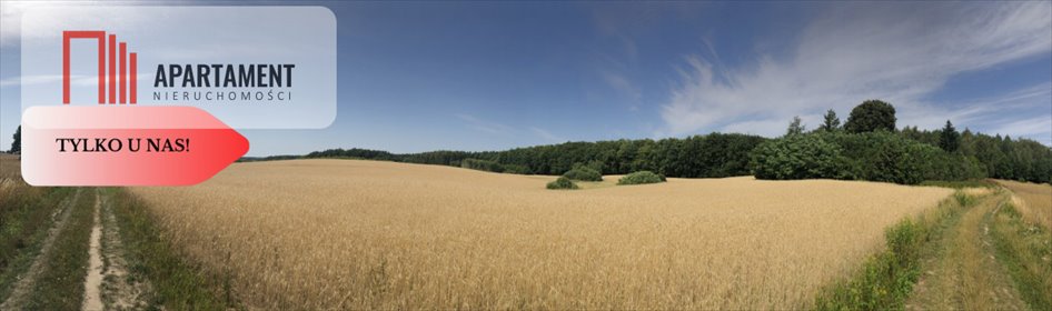 działka na sprzedaż 28500m2 działka Kamierowskie Piece, Trzcianka