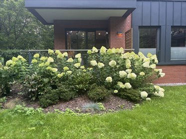 mieszkanie na sprzedaż 94m2 mieszkanie Gdynia, Redłowo, Ułańska