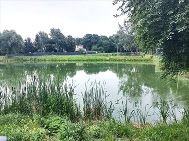 Działka 16 000 m² w Rożnowie (z dwoma stawami) działka Rożnowo