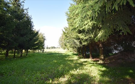 Dom na sprzedaż Miączyn, Miączyn 97m2 Foto 7
