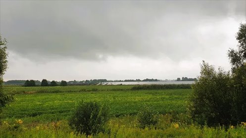 działka na wynajem 8307m2 działka Warszawa, Białołęka, Daniszewska