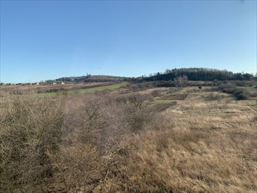 Lokal użytkowy na sprzedaż Kielce, Ślichowice, Piekoszowska 238m2 Foto 7