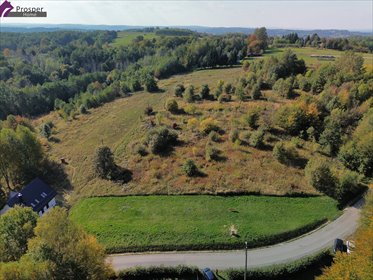 Działka z widokiem na las, 10 ar, Brzezówka. działka Brzezówka