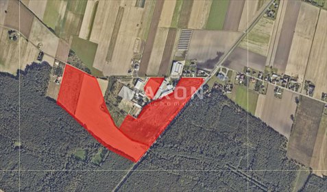 działka na sprzedaż 113422m2 działka Podzborów