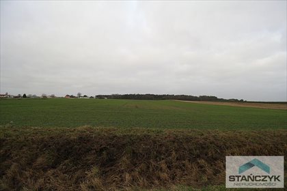 Działka budowlana na sprzedaż Ładzin, las,jeziora,morze 4 600m2 Foto 1