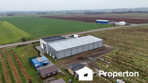Przedsiębiorstwo rolno-sadownicze z gruntami i infrastrukturą magazyn Izdebki