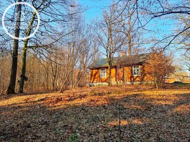 Urokliwe siedlisko z drewnianym domem do remontu dom Stójło
