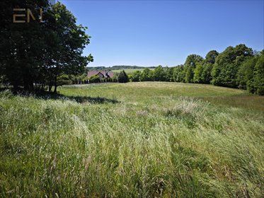 działka na sprzedaż 3000m2 działka Straszydle