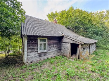 Dom z dużą działką 8408 m² - Czerwonka, do remontu. dom Czerwonka