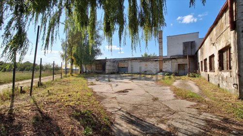 Polecam magazyn 620 m² z biurem w Rogalinku magazyn Rogalinek