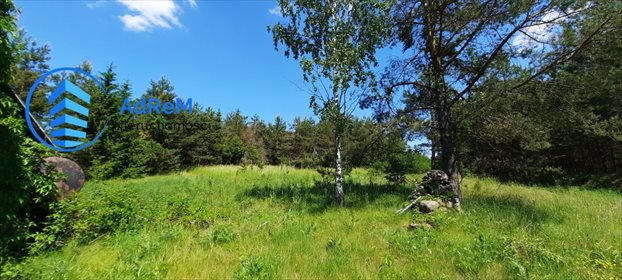 Działka rolna na sprzedaż Rybniki 6 410m2 Foto 2