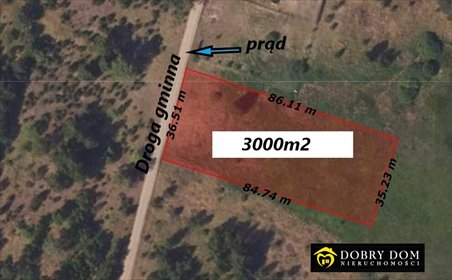 działka na sprzedaż 3000m2 działka Płaska