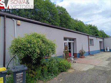 lokal użytkowy na wynajem 300m2 lokal użytkowy Wałbrzych, Śródmieście