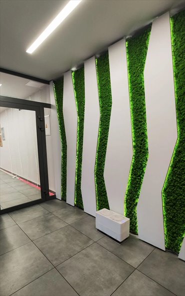 lokal użytkowy na wynajem 16m2 lokal użytkowy Tarnowskie Góry