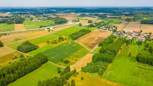 Działka rolna na sprzedaż Niecki 2 627m2 Foto 2