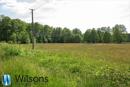 Działka budowlana na sprzedaż Morzyczyn-Włóki 3 000m2 Foto 4