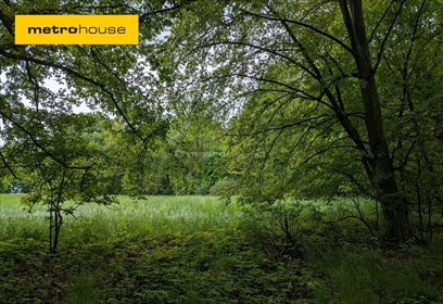 działka na sprzedaż 72700m2 działka Maruszewiec