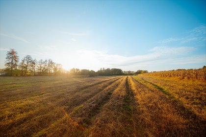 działka na sprzedaż 801m2 działka Wrocław, Zamień miasto na ciszę – działki blisko Wrocławia
