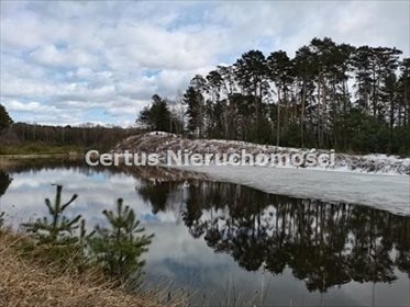 działka na sprzedaż 50000m2 działka Raniżów