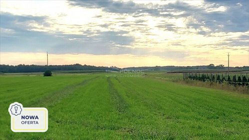 działka na sprzedaż 20900m2 działka Piecki