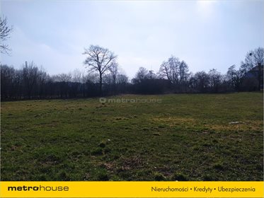 Dom na sprzedaż Tubądzin, Wróblew 250m2 Foto 7