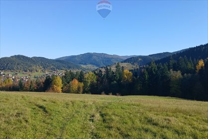 działka na sprzedaż 7600m2 działka Poręba Wielka