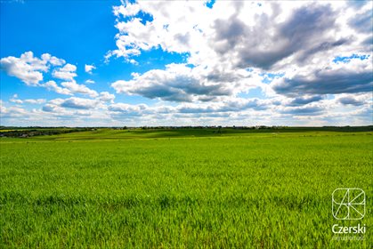 działka na sprzedaż 5619m2 działka Sąspów