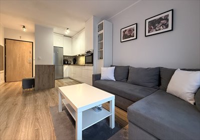 Mieszkanie 31,63 m² z ogródkiem i parkingiem polecam mieszkanie Poznań, Druskienicka