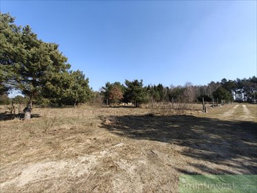 działka na sprzedaż 1777m2 działka Żółwia Błoć